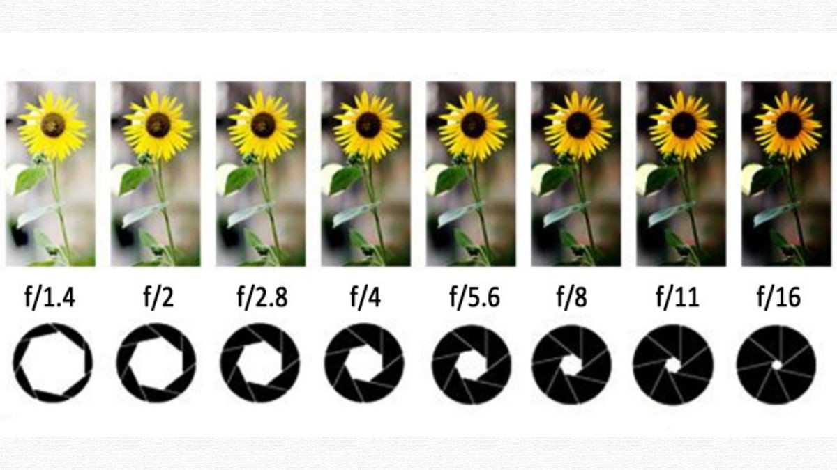 5 cách sử dụng khẩu độ để làm mờ hậu cảnh | Trần Huy Camera