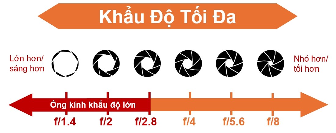 Khẩu độ và cách dùng để làm mờ hậu cảnh | Trần Huy Camera
