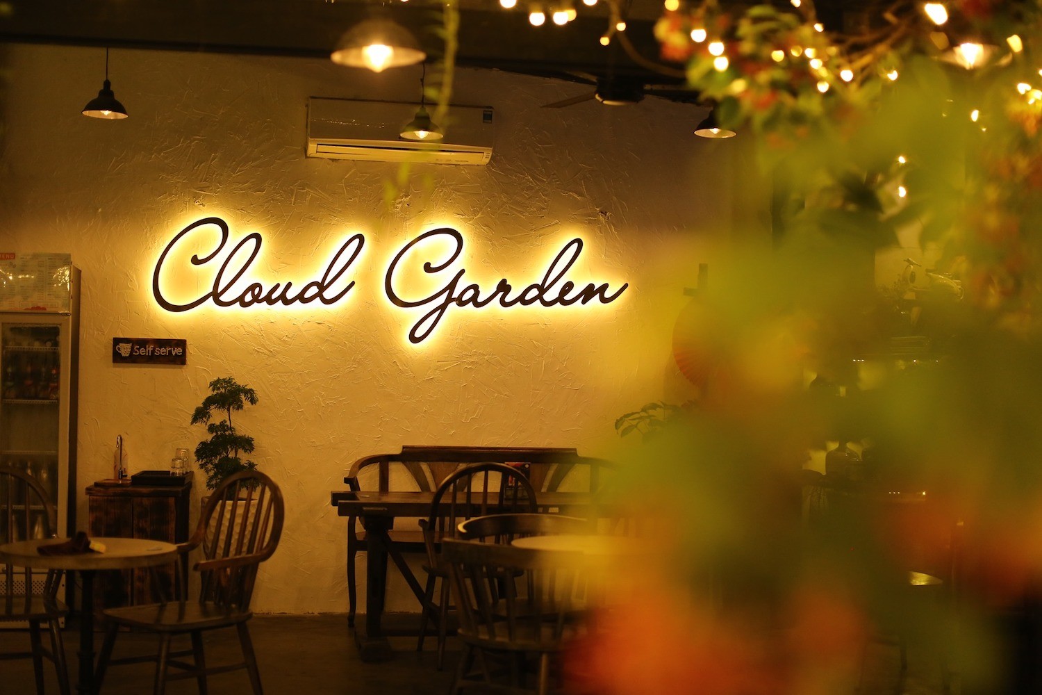 Những quán cafe “hidden gem” ở Đà Nẵng để chụp ảnh | Trần Huy Camera